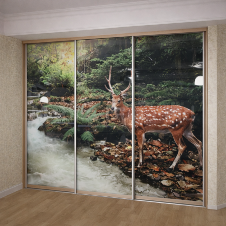 3 Раздвижные двери с фотопечатью А-15